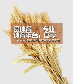 爱体育 - 专业体育平台，尽享赛事激情