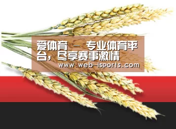 爱体育 - 专业体育平台，尽享赛事激情